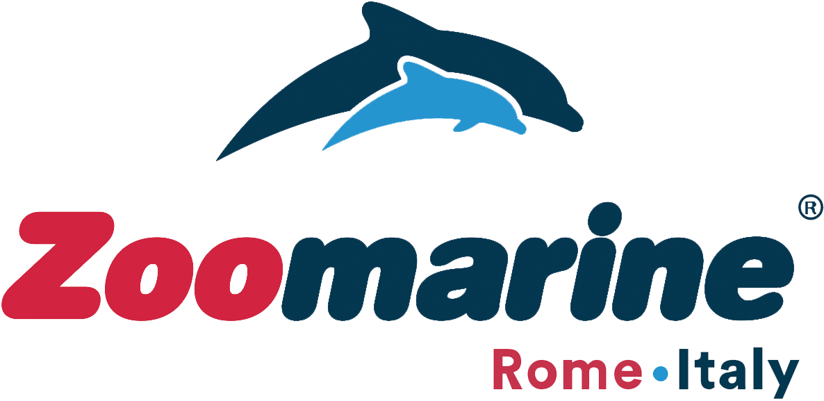 Zoomarine Coupons & Promo Codes