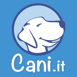 Tutti I Codici Sconto, Promo E Offerte IMPERDIBILI Su Cani.it Coupons & Promo Codes