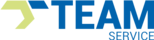 Team Service Coupons & Promo Codes