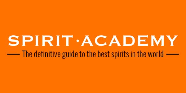 Black Friday: Fino Al 10% Di Sconto Su Spirit Academy Coupons & Promo Codes
